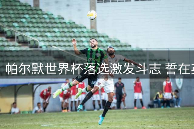 帕尔默世界杯落选激发斗志 誓在英超赛场证明实力