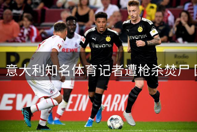 意大利知名体育记者遭枪杀焚尸 国际组织敦促彻查职业关联