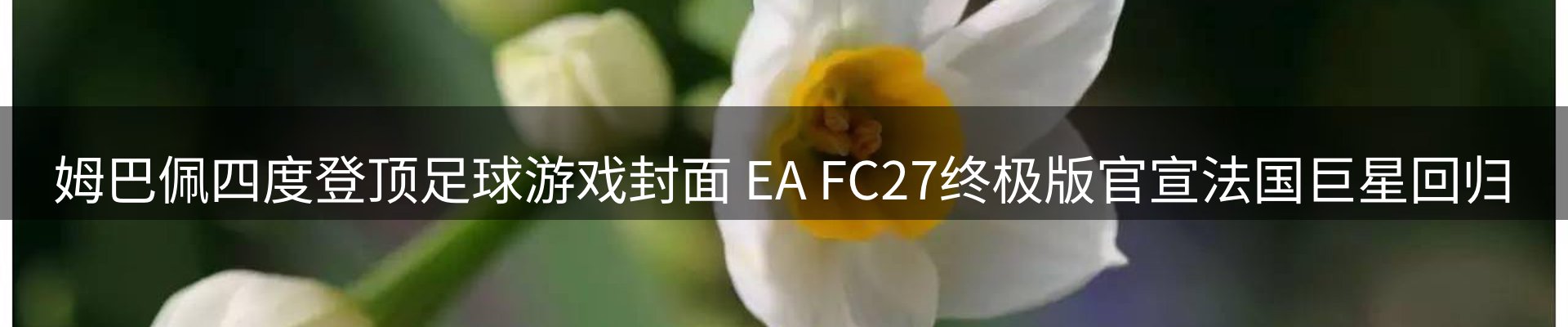 热点解析