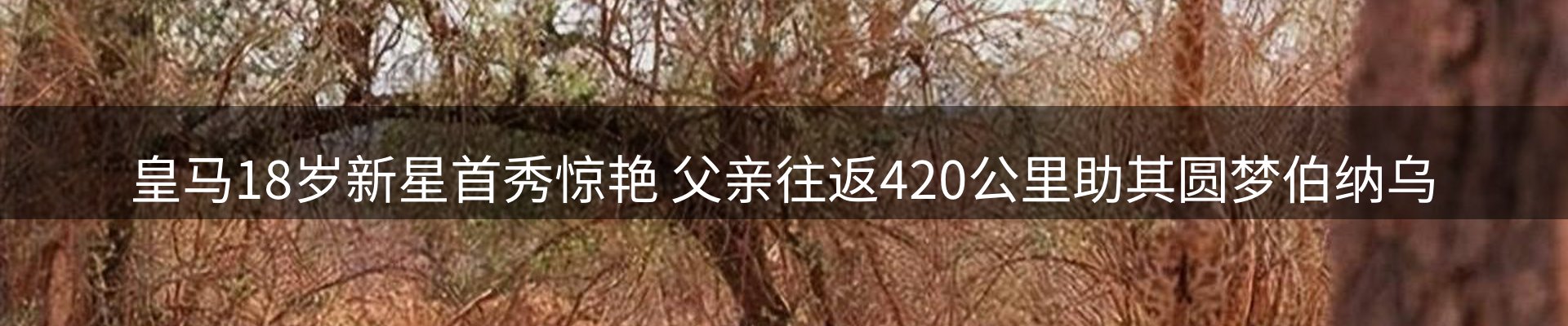 热点解析