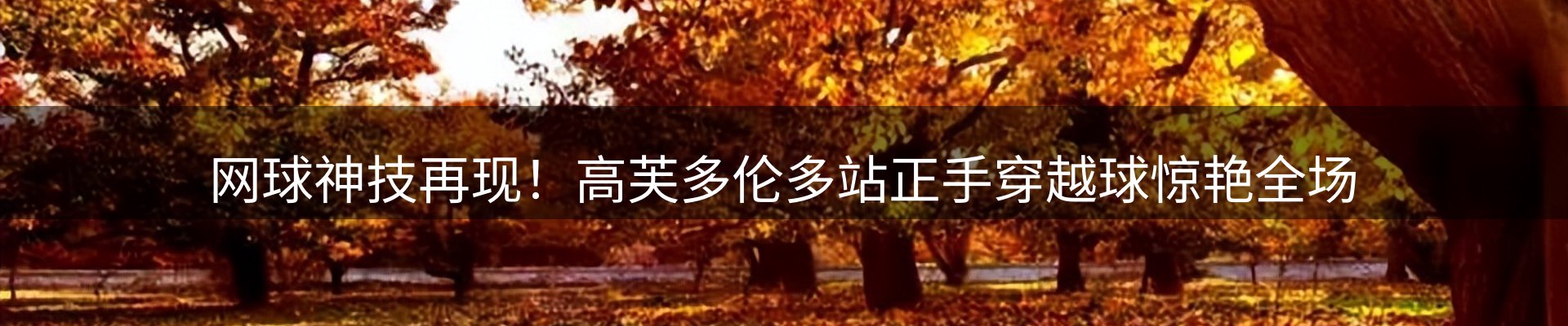 热点解析